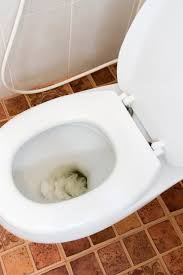 Then move the rubber back and forth to spread it across it's sealing surface. 8 Reasons Why Your Toilet Won T Flush Tips To Fix