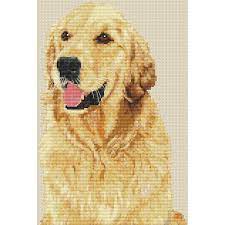 45.36 cm x 37.56 cm (17 7/8 x 14 3/4 in) colors: Golden Friend Golden Retriever Cross Stitch Kit Elite Designs
