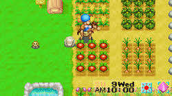 Download harvest moon story of seasons : Harvest Moon Friends Of Mineral Town Wikipedia