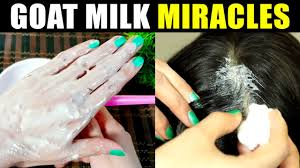 It also includes far higher levels. Bakri K Doodh K Faidy Goat Milk Benefits By Amir Obhaya