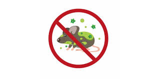 Katzen und mause potenziale fur krankheiten und andere gefahren. Hantavirus Infektionen Stark Gestiegen Heilpraxis