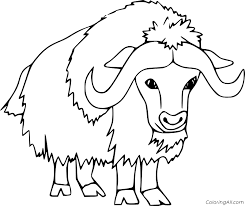 Push pack to pdf button and download pdf coloring book for free. Cartoon Muskox Coloring Page Coloringall