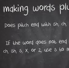 The Maloney Method Teaching The S Es Plural Rule