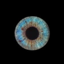 Check spelling or type a new query. Les Technologies Utilisees Clinique De La Vision La Rochelle