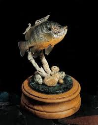 Pin By Vlado Govic On Taxidermy Fish Gallery Fish Mounts Fish Sculpture