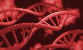 Here we look at some of the key symptoms of this disease to watch out for. Lung Cancer Healthcare In Europe Com