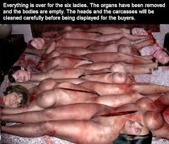 Fantasy beheading, bisection and dismemberment | MOTHERLESS.COM ™