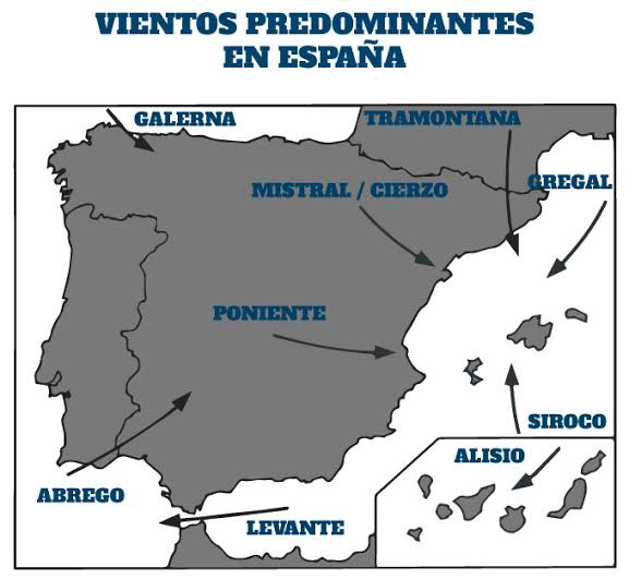 Natación en Aguas Abiertes: ¡APRENDE SUS SECRETOS!