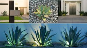 Licensed and insured, blue agave landscapes specializes in creating water conscious designs that provide four seasons of visual interest. Water Wise Landscapes Blend Style Sustainability