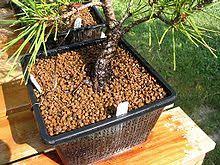 The biggest advantage to using akadama is that it has porosity, or the ability to hold water and store it in microscopic pores and cavities for a longer period of time. Akadama Wikipedia