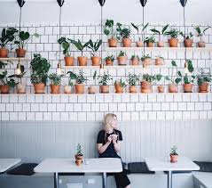 Kaffealskare Vaxtkarisar Jazzfantaster Alla Ni Andra For Den Delen Krukor Kaffe Ar Det Lilla Vaxthuscaf Ikea Restaurant Unfitted Kitchen Greenhouse Cafe