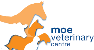 Uncover why animal eye care is the best company for you. Pets Moe Veterinary Clinic