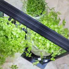mini farm parus plant light led me grow planten