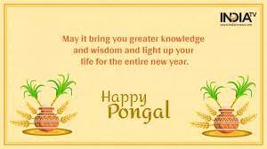 Happy Pongal 2022 Wishes Quotes Facebook Whatsapp Messages Greetings Sms Hd Images And Gifs Books Culture News India Tv