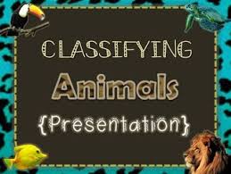 Classifying Animals Presentation Classifying Animals Animal Classification Vertebrates And Invertebrates