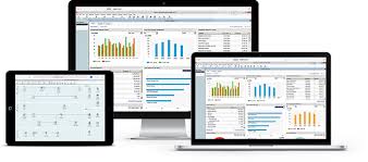 online accounting software for large businesses reckon