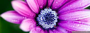 Maybe you would like to learn more about one of these? Flowers By Bob Inc Home Facebook