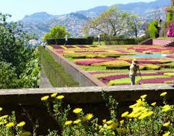 5 Jours A Madere En Solo Sans Voiture De Funchal Au Pico Ruivo Blog Voyage Voyage Endroits Merveilleux
