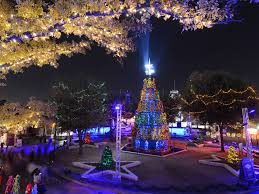 Park cities christmas lights is your turnkey solution to creating your unique holiday experience. The Most Spectacular Christmas Lights Around Dallas In 2020 Culturemap Dallas