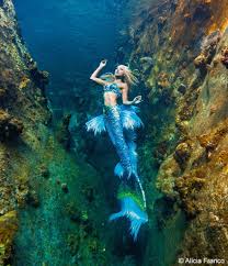 Image result for real mermaid