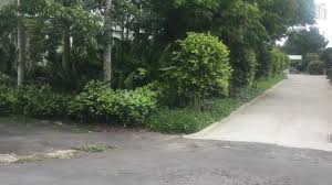 Fence partly blocks neighbour's gate in Devonport boundary dispute