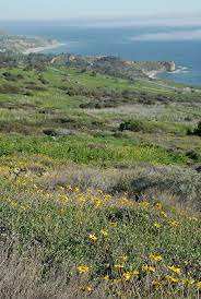 Check spelling or type a new query. Palos Verdes Peninsula Land Conservancy Wikipedia