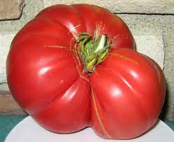 Maybe you would like to learn more about one of these? Bear Claw Fruit Painting Vegetables Fruit