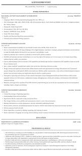 content management resume sample