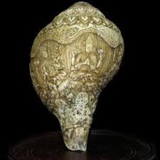We did not find results for: 27 Best Conch Shell Ideas Conch Shell Conch Carved Shell