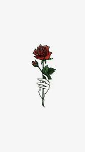 Poze de fundal aesthetic / poze blog: Fotografii De Fundal Imagini Cute Rose Wallpaper Tumblr Backgrounds Iphone Wallpaper