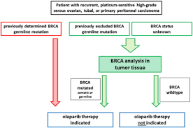 Precision Targeted Therapy Of Ovarian Cancer Sciencedirect