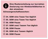 Ssw nur eine tasse täglich. Ab Wann Himbeerblattertee Forum Schwangerschaft Urbia De