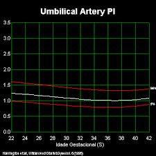 Methodology Of Doppler Assessment Of The Placental Fetal