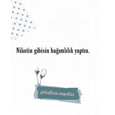 06 06 2020 adli kullanicinin sozler panosundaki pin ask tin yazar