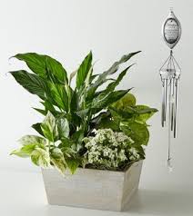 Mary JoAnne Chilton Obituary (2024)