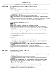 The financial analyst job description involves analyzing financial statements, reports, news accounts and data to any financial analyst job description includes mandatory math skills. Sales Reporting Analyst Resume Samples Velvet Jobs