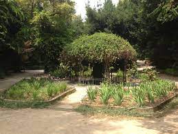jardin national d athenes une promenade incroyable athenes santorin jardins
