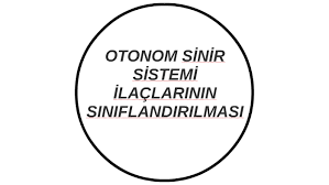 Otonom sinir sistemi, sinir sistemi sinir sistemi veya viseral sinir sistemi, mide, bağırsak veya kalp gibi iç organların işleyişini düzenlemekten sorumludur. Otonom Sinir Sistemi Ilaclarinin Siniflandirilmasi By Hilal Ozkanli