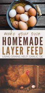How To Make Chicken Feed For Layers 17 5 Nutrient Rich And Non Gmo Recipe Chicken Feed Poultry Feed Homemade Chicken Waterer