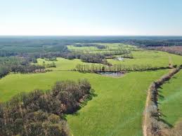 555 Acres Large Pastureland Tract Farm For Sale In Centreville Amite County Mississippi 233287 Farmflip