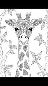 Het betekent een plan, een kaart of een geometrisch patroon dat de kosmos uitbeeldt. Pin By Josianne Tremblay On Circuit Ideas To Try Mandala Coloring Books Mandala Design Art Coloring Books