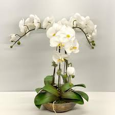 After it has flowered the first time, cut the stem just above the node where the first flower bloomed. Faux Phalaenopsis Orchid Stem Permanent Orchid Stem Faux Orchid Palm Bungalow