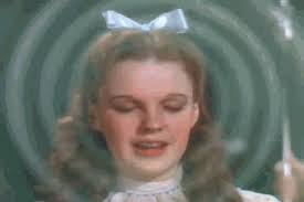 Check spelling or type a new query. Theres No Place Like Home Gifs Get The Best Gif On Giphy