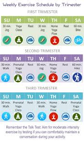 Weekly Exercise Schedule By Trimester Elm Tree Medical
