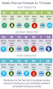 weekly exercise schedule by trimester elm tree medical