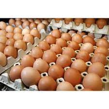 We did not find results for: Telur Ayam Curah Kiloan Shopee Indonesia