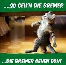 Bank crypto roller coaster meme funny. 96 Werder Bremen Ideen Werder Bremen Bremen Sv Werder