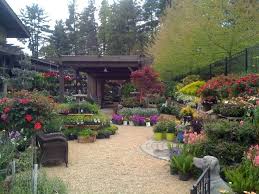 Pin By Anita Tyndall On Garden Centre Design Garden Center Displays Garden Center Market Garden