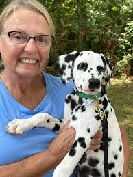 Graham's new home and life plans after adoption