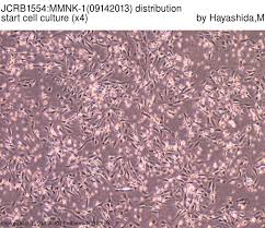 Detailed Information [JCRB1554]-